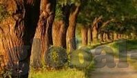 kaiyun体育官方app下载-江云体育官方APP下载体验