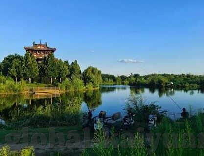 王者争雄九游版下载-王者争雄，九游版下载的非凡体验